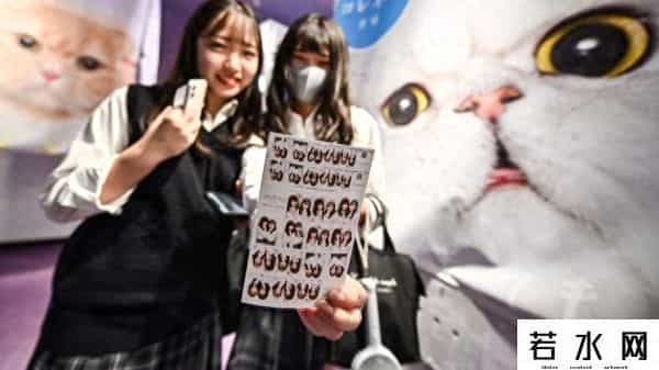 韩国大头贴,价格涨了五六倍！几乎是每个80、90后的回忆，它又流行起来了