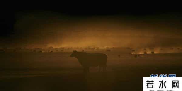 世界毁灭,15000名科学家联合声明：世界可能这样毁灭