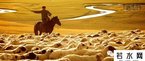 爱情两好三坏,盗墓题材拍三坏二，你还期待新《鬼吹灯》三部曲吗？