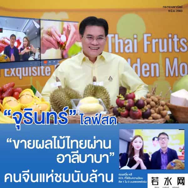 榴莲B站,泰国副总理直播卖榴莲:近900万人围观,一口气卖了10000只