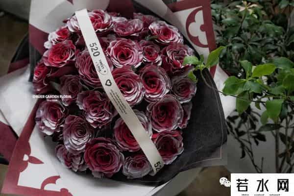 色520,节日特辑vol.4 - 红玫落雪，月色与雪色之间，你是第三种绝色