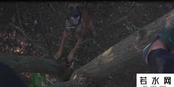 漠叔,漠叔：琼系军阀称霸农村，狗见了都得挨巴掌，真实身份反黑警察？