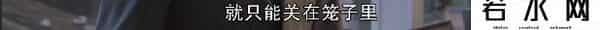古美门,看不惯的这个热搜，终于有剧替我骂