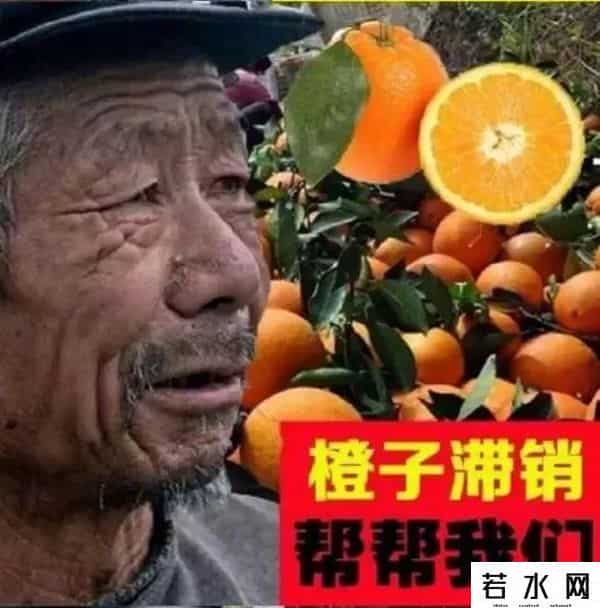 金坷垃,有啥就卖啥，卖啥啥滞销，“金坷垃”大爷火了