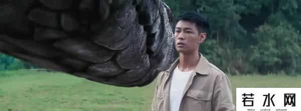 巨鳄战狂蟒,国产片烂出新高度,上演人蛇禁忌