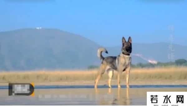 40777,18岁列兵缉毒牺牲 亲属祭扫现场“全员马赛克”