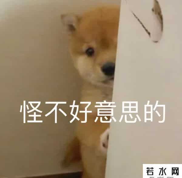 hopex,“姐,现在行情大涨,我们抓住这波走势大赚一笔!”