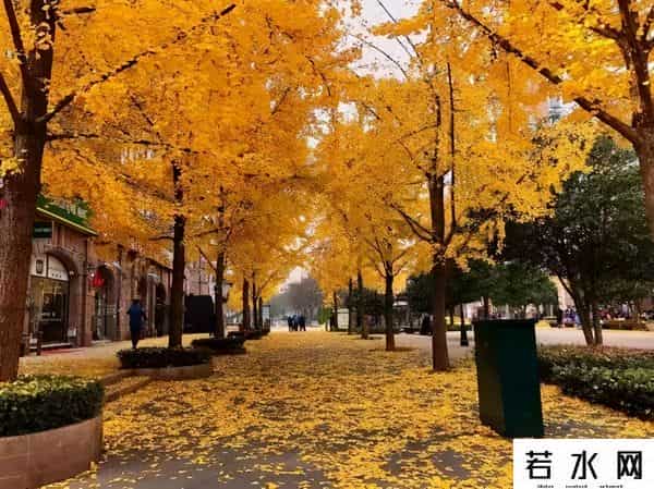 古北中央花园,古北,还留得住人吗?