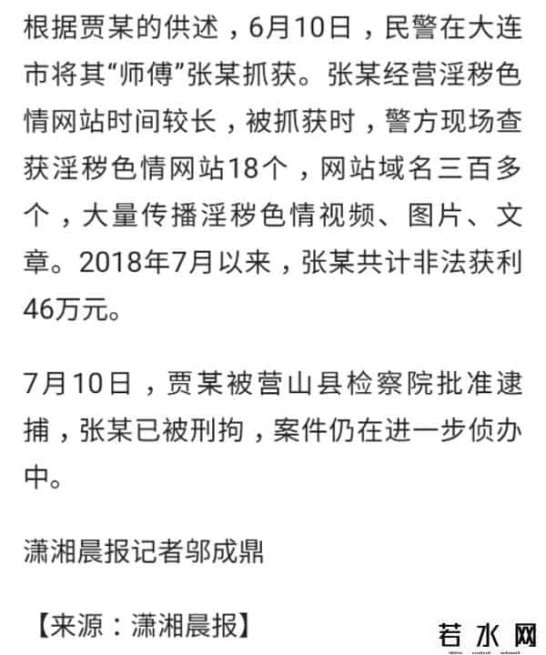 簧片网址,男子建了近30个色情网站,还把教他的网友给"卖"了