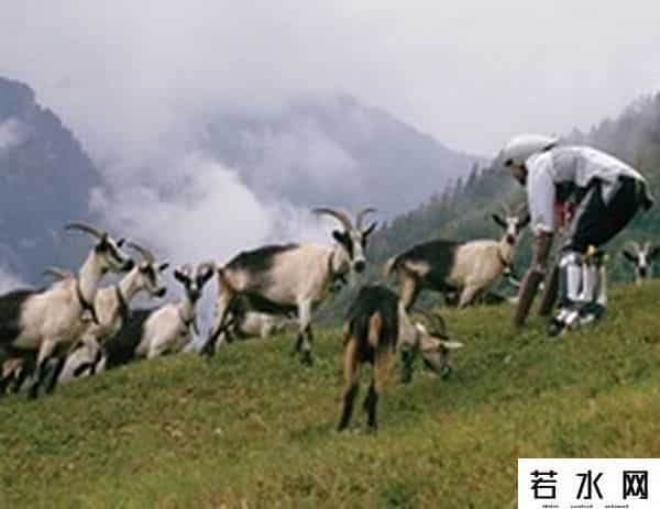 vice中国,VICE 文章