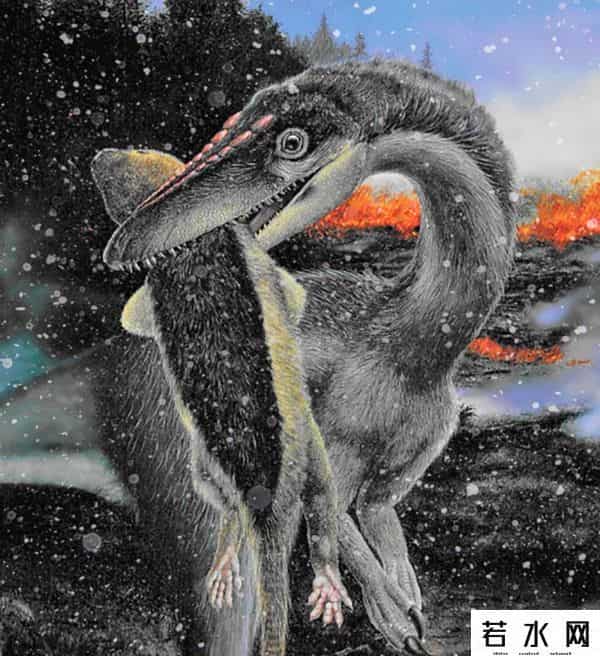 三迭纪,恐龙为何躲过三叠纪末生物大灭绝？答案找到了