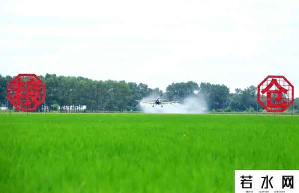 日萌,神州答卷|活力、动力、创造力——解码数字里的黑龙江振兴新动向