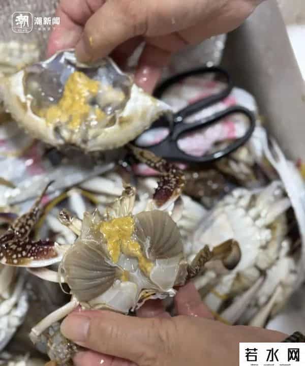 杭州抢人大战,杭州凌晨抢蟹大战：一斤只要2块，真有人拼车去捡漏！