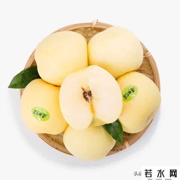 海炫,【玩转烟台】董宇辉推荐!速来get“与辉同行”同款烟台好物→