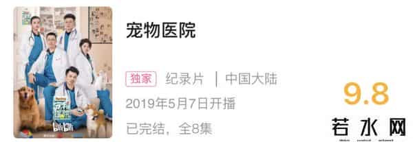B站宠物医院,《宠物医院》第三季今晚B站开播，网友满屏弹幕催更！你准备好纸巾了吗？
