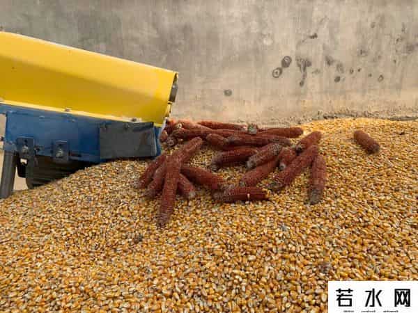 名还行营销,生活中的品牌和营销｜瞎聊聊呗