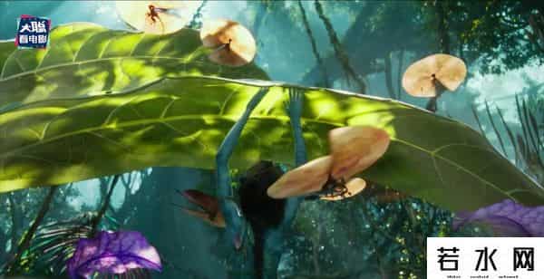 soso哼唱,《阿凡达2》新预告万字解析！诸多细节脑洞全片剧情