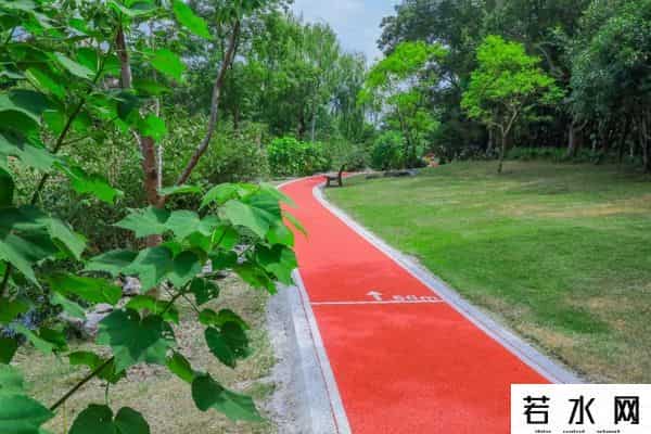 蔷薇九里,松江又添一条滨水健身步道，散步、吸氧、赏景……走起