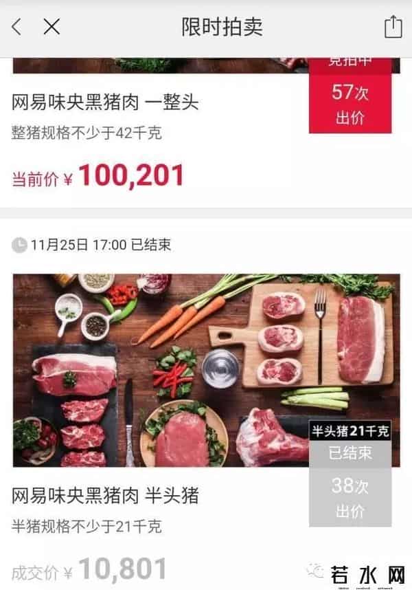 网易 猪,养了7年，网易丁家猪终于开卖，一头8万8！贵在哪儿？