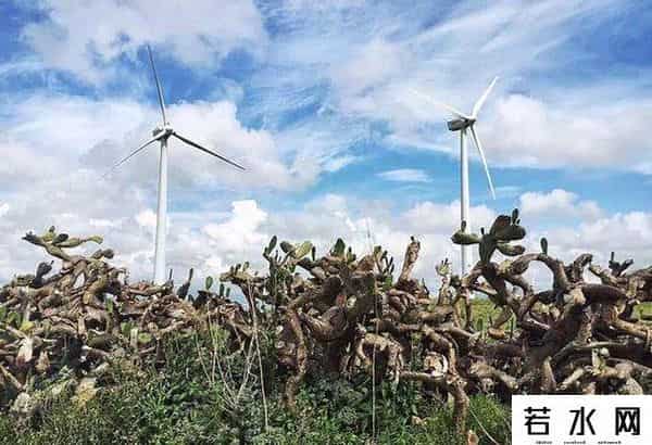 百度美拍图片,旅拍大师？其实他们只用了一部手机而已