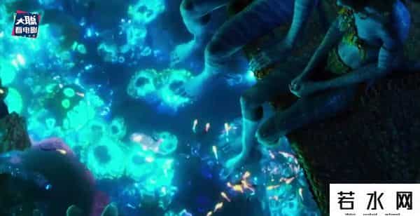 soso哼唱,《阿凡达2》新预告万字解析！诸多细节脑洞全片剧情