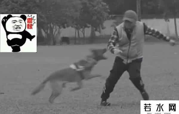 漠叔,漠叔：琼系军阀称霸农村，狗见了都得挨巴掌，真实身份反黑警察？