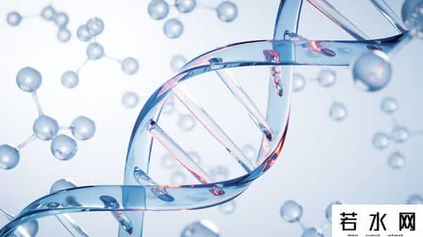 幸美股份,山东林森生物摘牌，化妆品企业的生存挑战与行业警示