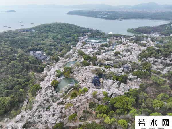 宅米,吴韵今风入画来——看无锡如何落笔“人文经济学”