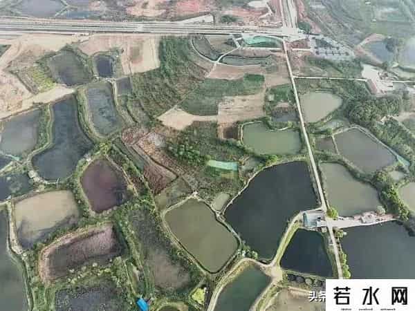 王巍然,武汉新城未来湾项目,打造为农文旅融合示范点,武汉新城新地标。