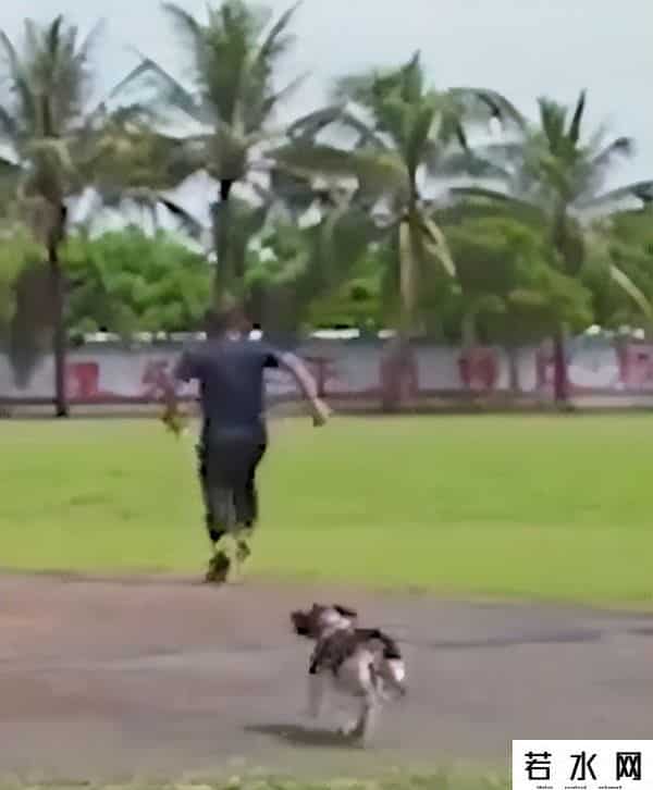 漠叔,漠叔：琼系军阀称霸农村，狗见了都得挨巴掌，真实身份反黑警察？