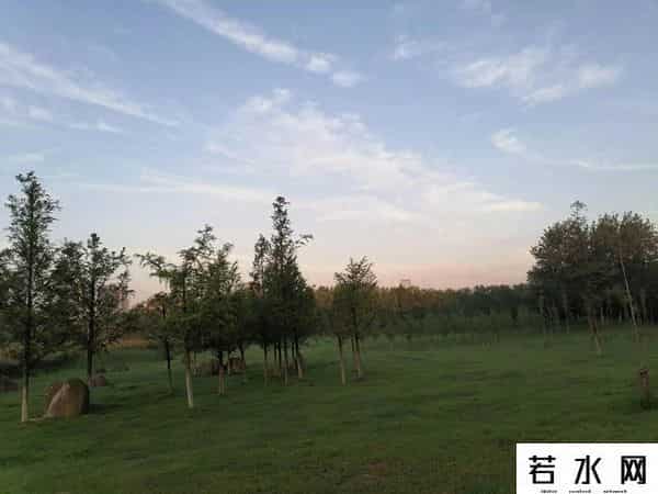 性爱好者,爱好历史，真的是易犯错吗？