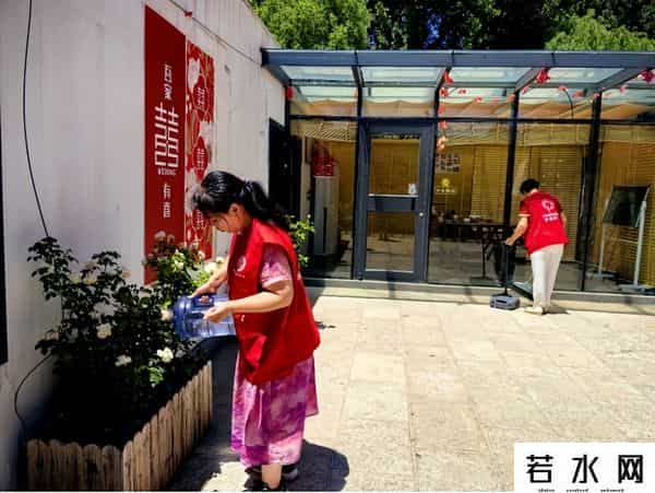 苏州全城热恋,“全城热恋”~有“爱”的青岛,让“甜蜜经济”的甜度再高点