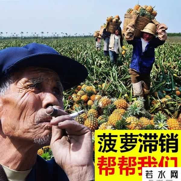 金坷垃,有啥就卖啥，卖啥啥滞销，“金坷垃”大爷火了