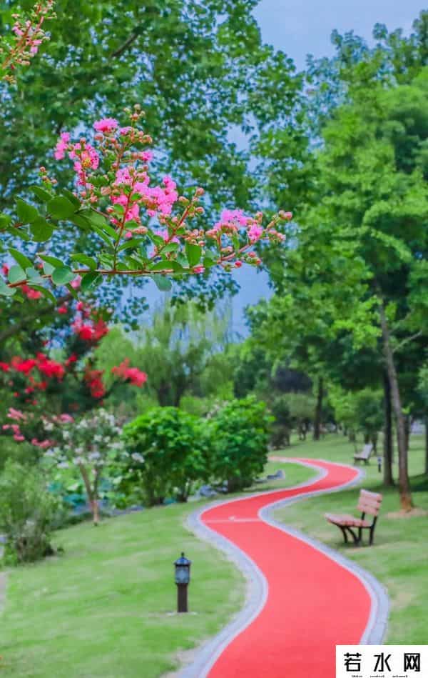 蔷薇九里,松江又添一条滨水健身步道，散步、吸氧、赏景……走起