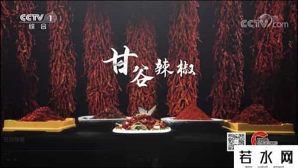 辣椒客,甘谷辣椒故事三则