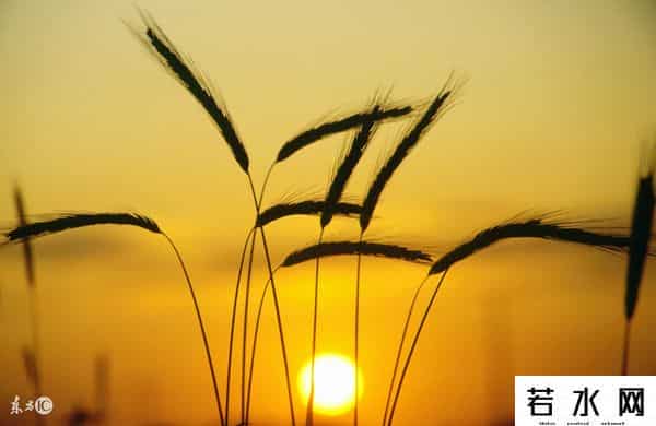 朋友印象,四种发型选择你喜欢的，测出朋友对你印象怎么样？