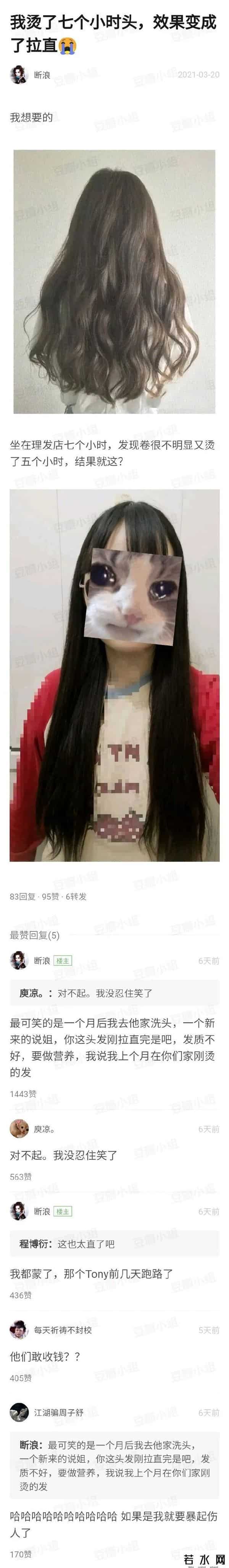 猫扑图片,网友烫头失败大赏,看完差点笑岔气了哈哈哈哈哈哈