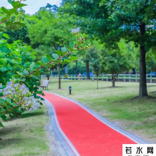 蔷薇九里,松江又添一条滨水健身步道，散步、吸氧、赏景……走起