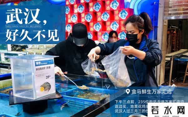 好久不见武汉,武汉,好久不见