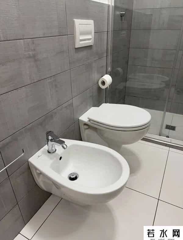 净身盆,意大利厕所里的“双马桶之谜”：本地人笑而不语，游客当场懵圈！