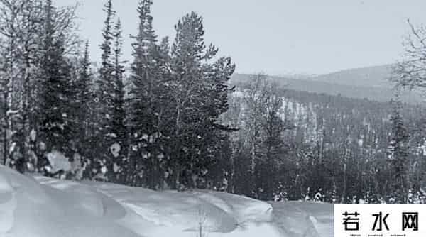 大雪怪,俄罗斯8年前现大雪怪,身高2米多体型健壮,至今不知是何生物