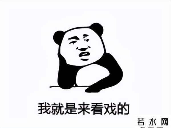 北京软星,20年前中国游戏的扛把子，曾可媲美暴雪，最后却沦为外包公司？