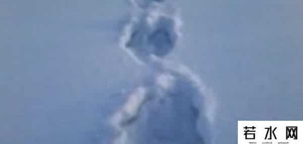 大雪怪,俄罗斯8年前现大雪怪，身高2米多体型健壮，至今不知是何生物