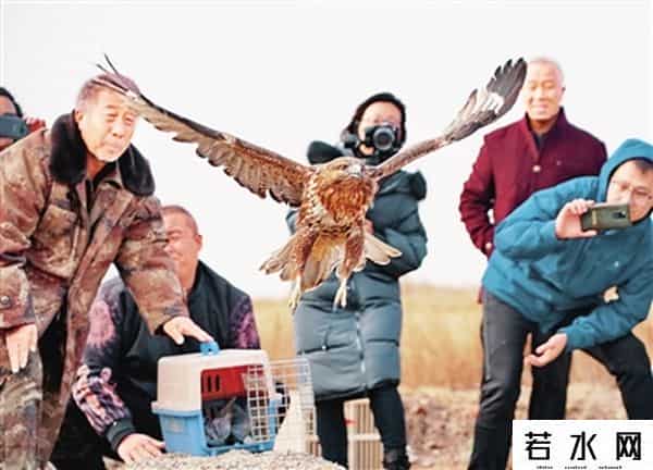 一起色吧,人类与野生动物应该如何相处