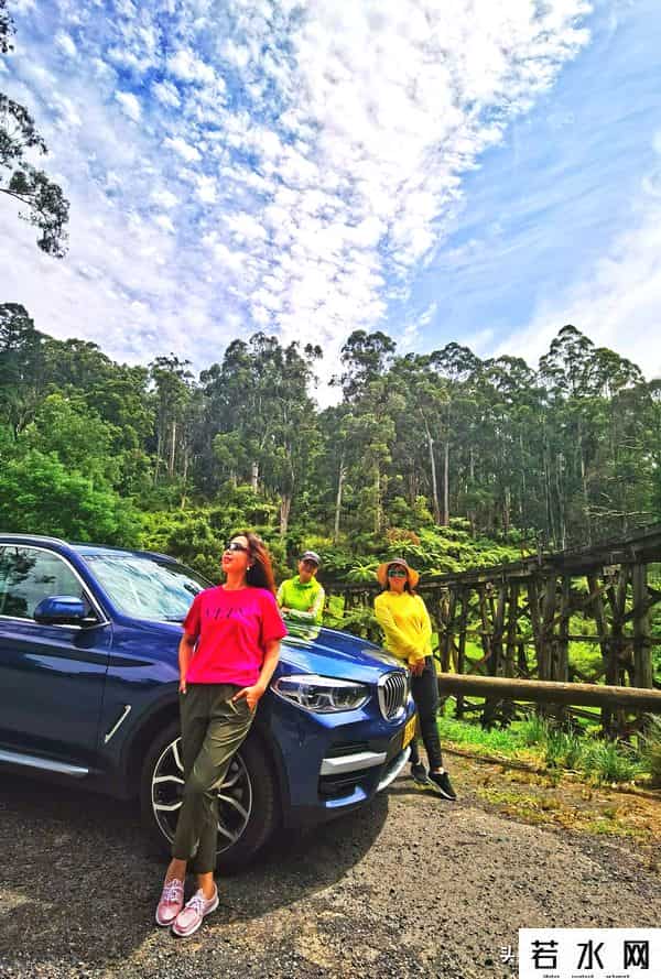 woola,放慢脚步游澳洲（4）企鹅岛，我和自然有个约定