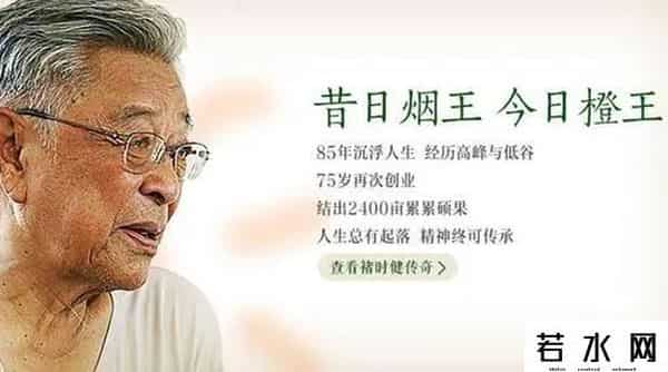 云冠橙,发明创造：“云冠”——褚橙