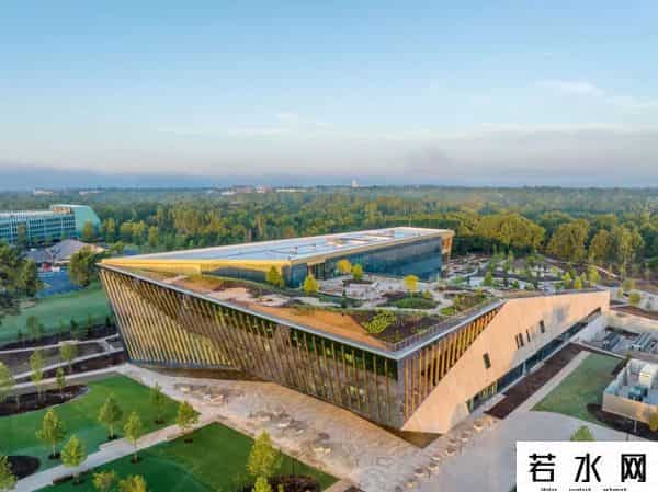 山姆 沃尔顿,“沃尔玛公主”爱丽丝·沃尔顿:家族财富传承的另类样本