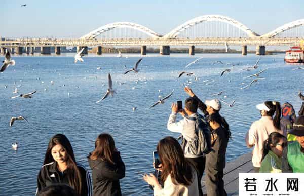 日萌,神州答卷|活力、动力、创造力——解码数字里的黑龙江振兴新动向