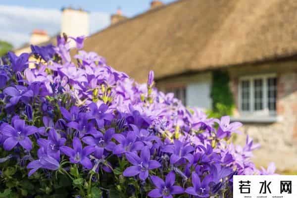 世界最美村庄,绿野仙踪——走进爱尔兰最美村庄阿黛尔