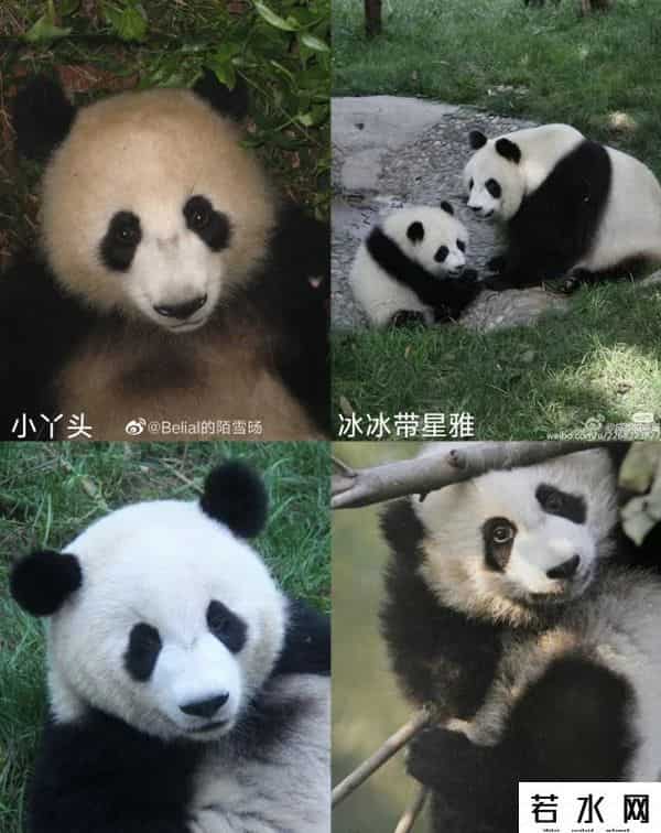 40403,8.13过生日的熊熊们(下)